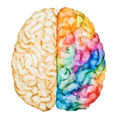 Watercolor brain N2