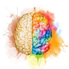 Watercolor brain N3