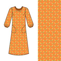 House dress nightdress front view N2
