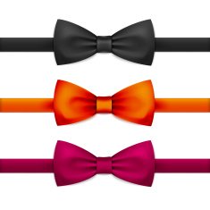 Vector Bow Tie Bowtie Set Isolated on White N5