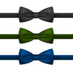 Vector Bow Tie Bowtie Set Isolated on White N6