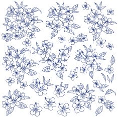 Hibiscus illustration N8