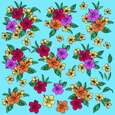 Hibiscus illustration N9