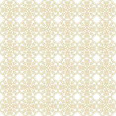 Vector seamless lace pattern N3