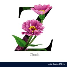 Letter Z vector alphabet with Zinna ABC concept