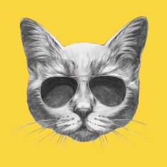 Hand drawn portrait of Cat with sunglasses