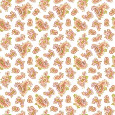 Paisley pattern N224