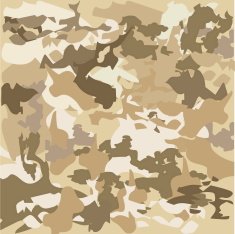 Vector camouflage pattern N5