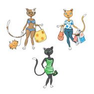 Fashionable cats