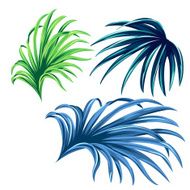 vector palm leaves - set of elements