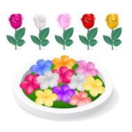 Flower N15