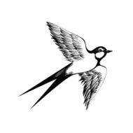 Hand drawn flying swallow silhouette Vector illustration Dood