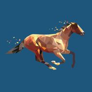 horse vector geometry