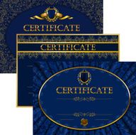 Elegant template of certificate diploma N5