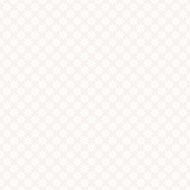 Seamless floral pattern wallpapers in the style of Baroque Can N31