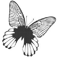 Black butterfly icon