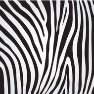vector zebra texture N3
