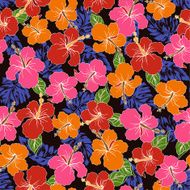 pattern Hibiscus N15