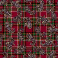 Paisley pattern N239