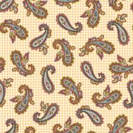 Paisley pattern N240