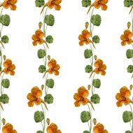 Nasturtium pattern N4