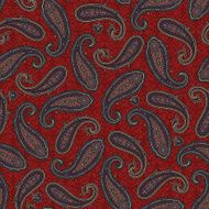 Paisley pattern N242