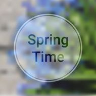 Spring Time Blurred Background with Blue Flowers