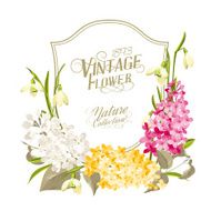 Vintage Frame N40