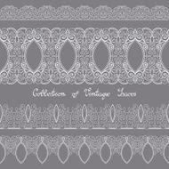Vector Set of Vintage Template with Ornate Laces
