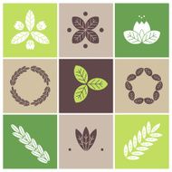 Floral abstract minimalist signs