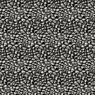 Vector Illustration pattern black and white animal background N3