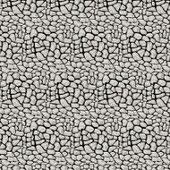 Vector Illustration pattern black and white animal background N4