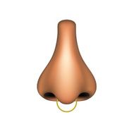 Human nose with golden piercing