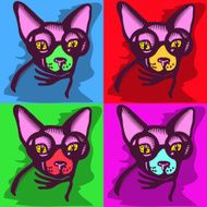 cat picture