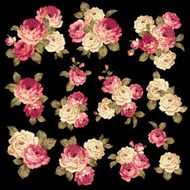 Rose bouquet N2