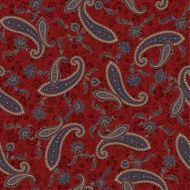 pattern paisley N85