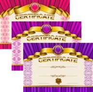 Elegant template of certificate diploma N9