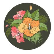 hibiscus N5