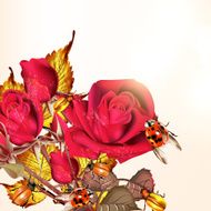 Background with roses and lady birds