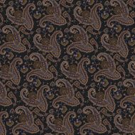 pattern paisley N89