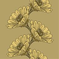 Seamless background with flower zinnia hand-drawing Vector illustration