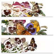 Floral backgrounds set with violets flowers