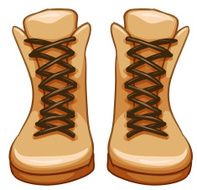 Boots N10