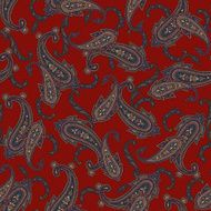 pattern paisley N91