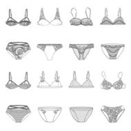 Hand drawn vector sexy lingerie set