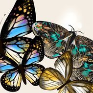 Fashion background with vector butteflies