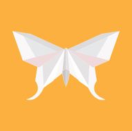 Butterfly diamond polygon illustration