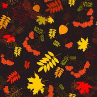seamless leaf and rowanberrys pattern vector background
