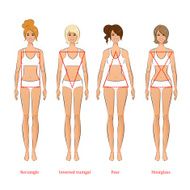 Female body types
