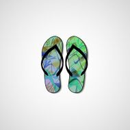 Abstract illustration on flip flops N66